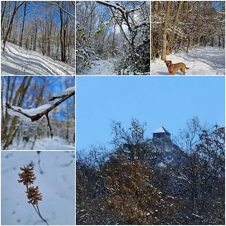 Sb Sport Salgótarján